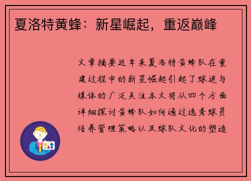 夏洛特黄蜂：新星崛起，重返巅峰