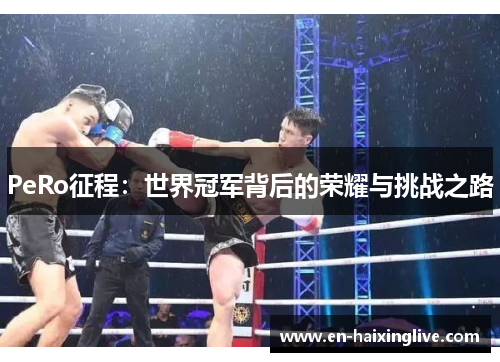 PeRo征程：世界冠军背后的荣耀与挑战之路
